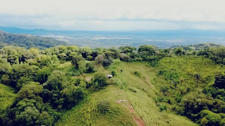 TERRENO DE 7.5 HECTÁREAS CON VISTA AL MAR Y AL RÍO TÉRRABA – BALSAR DE OSA - Venta en Osa
