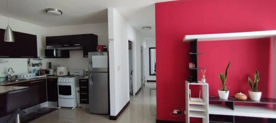 venta de apartamento en san jose san sebastian - Venta en San José — photo 3
