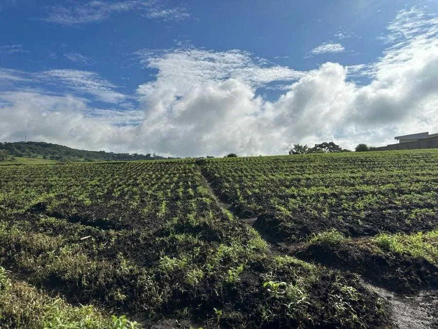 Hermosa y exclusiva finca en venta en Cot de Cartago MLS 24-744 - Venta en Cot