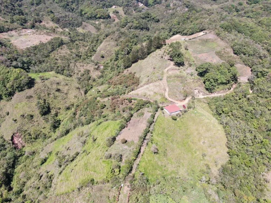 Venta de Finca en Casamata de El Guarco, Cartago. - Venta en El Guarco