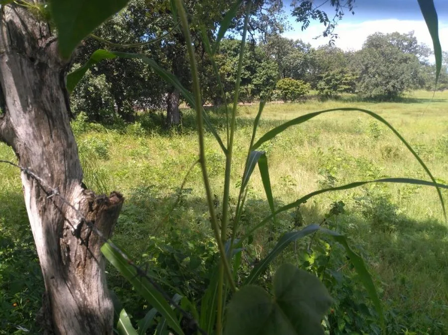 TERRENO EN LIBERIA EN VENTA - Venta en Liberia