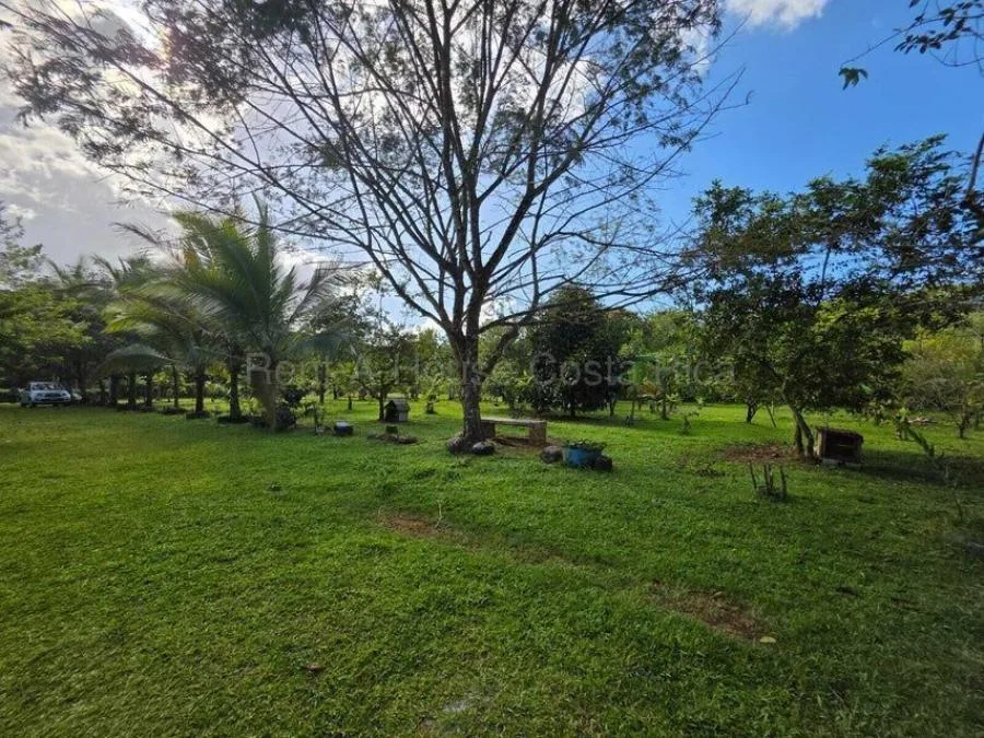 Venta de Casa+2 Apartamentos en Sarapiquí-La Virgen, Heredia.  - Venta en La Virgen
