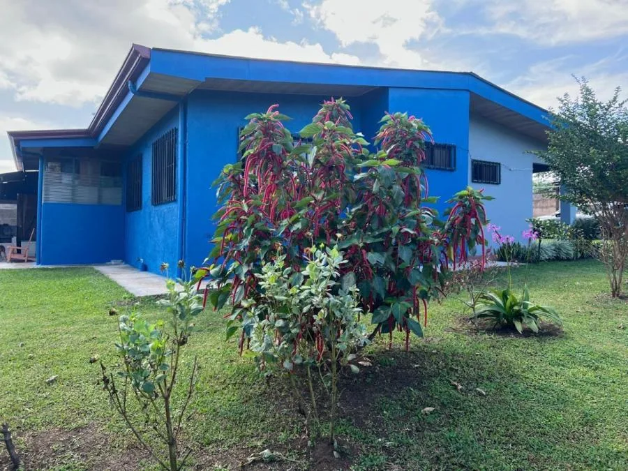 Venta de casa con lote con arboles frutales y expansión de terreno - Venta en Grecia