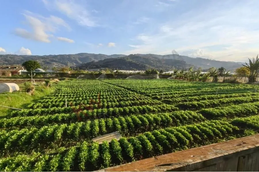 FINCA AGROINDUSTRIAL EN VENTA EN EL GUARCO, CARTAGO #5514  - Venta en El Tejar