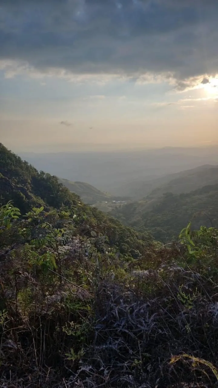 Se Vende Bellísima Finca en Santiago de San Ramón, Alajuela ????????  Esta espectacular finca de cas - Venta en San Ramón