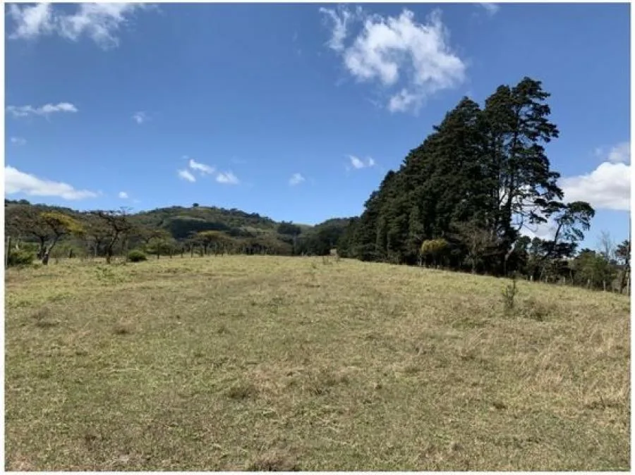 VENTA DE LOTE INDUSTRIAL, CARTAGO, OCHOMOGO - Venta en San Nicolás