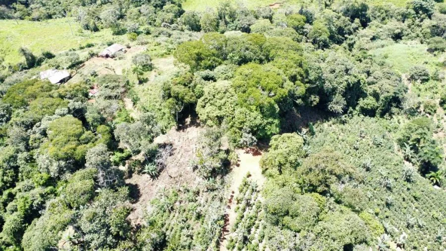 PROPIEDAD 10.007 M² EN VENTA SAN RAFAEL DE PLATANARES - Venta en Perez Zeledón — photo 3