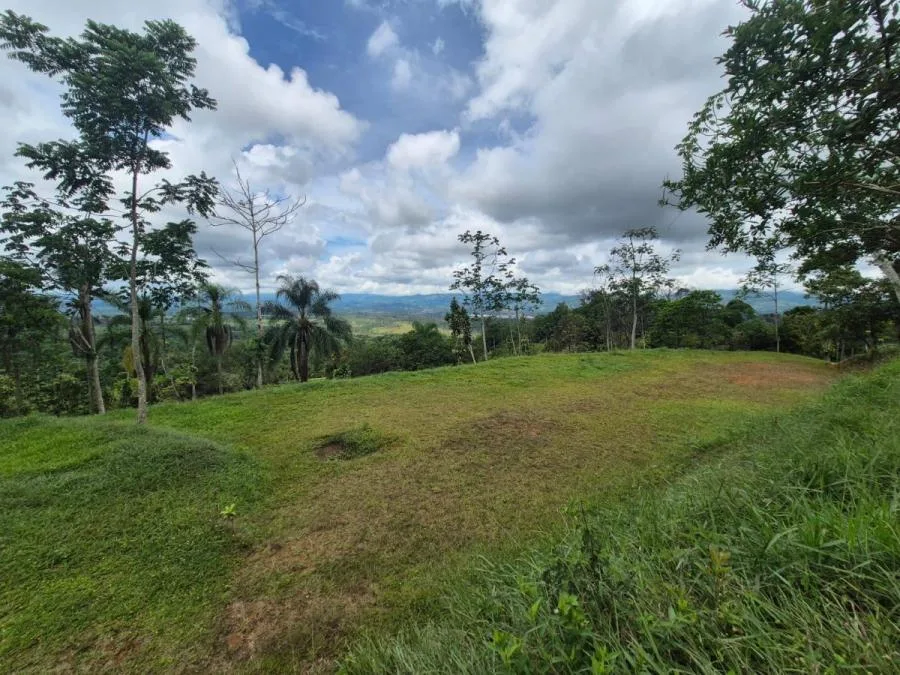 Lotes en Venta en Miravalles con Vista al Valle y Pozo Priva - Venta en Perez Zeledón