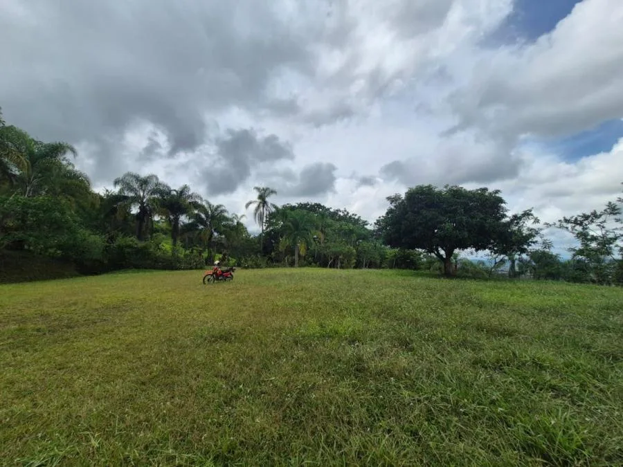 Lotes en Venta en Miravalles con Vista al Valle y Pozo Priva - Venta en Perez Zeledón — photo 3