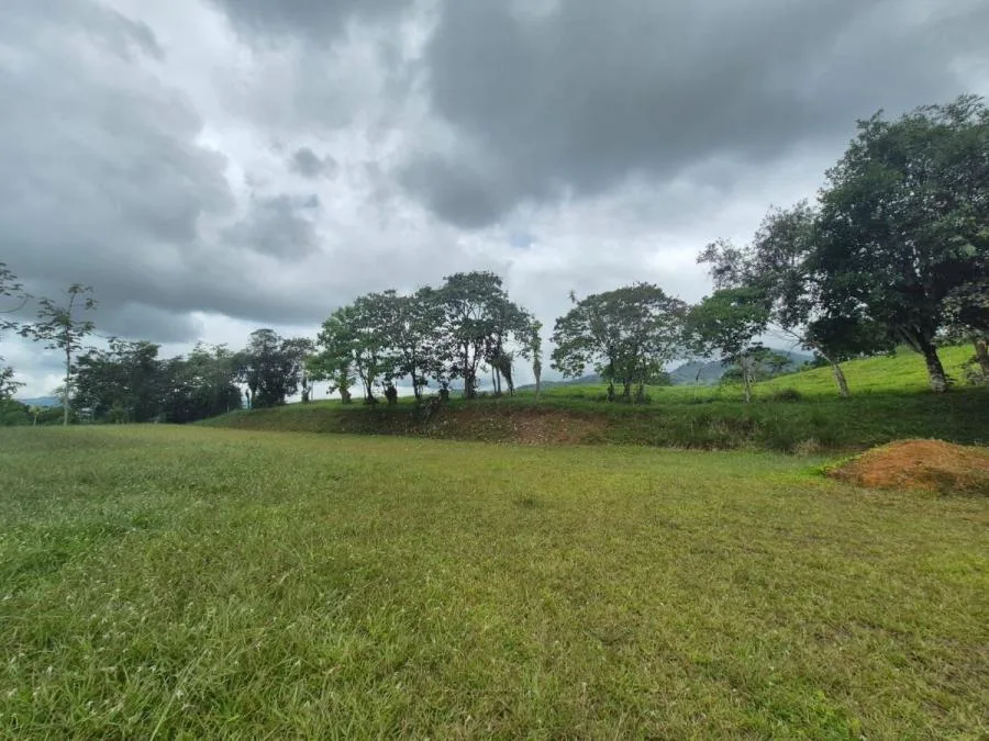 Lotes en Venta en Miravalles con Vista al Valle y Pozo Priva - Venta en Perez Zeledón — photo 5