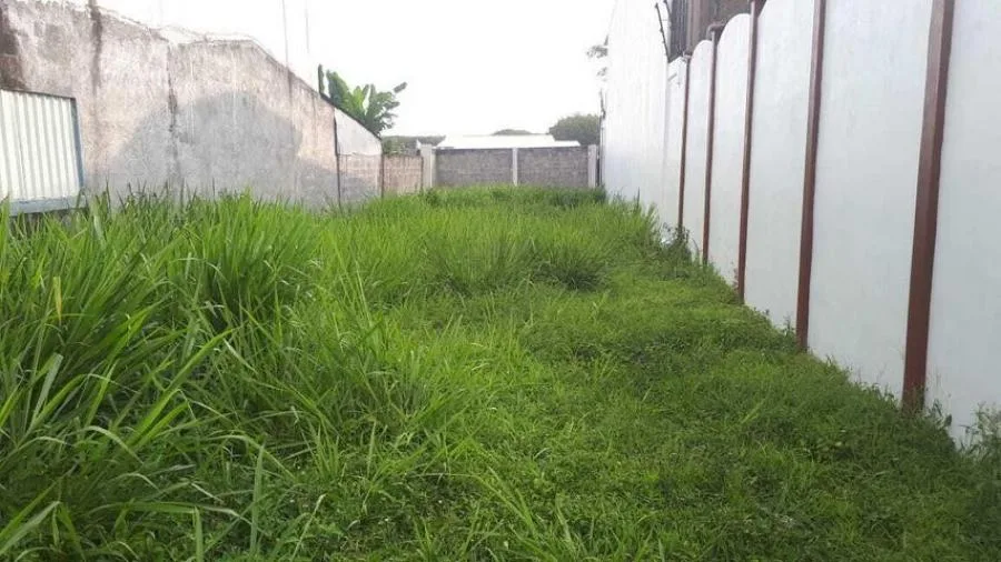 Alquiler apartamento amoblado en planta baja listo para mudarte #26-1928 GS - Alquiler / Renta en Alajuela