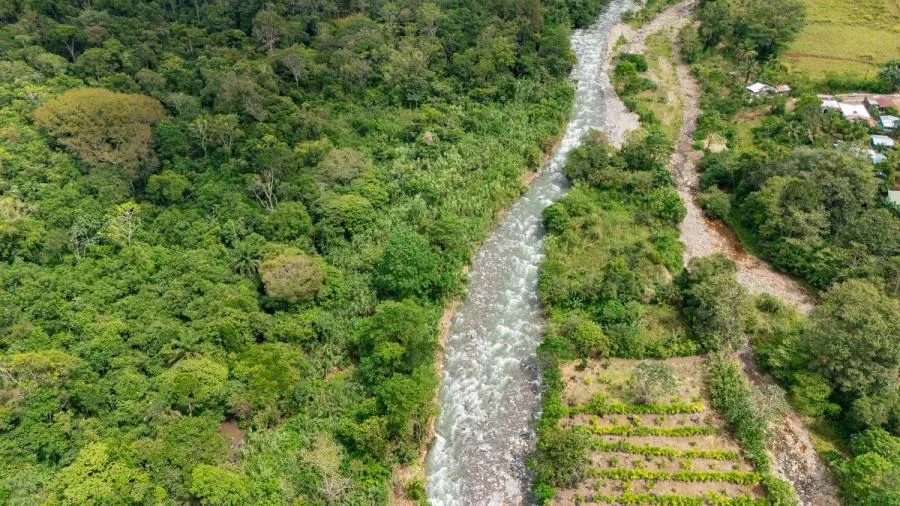 HERMOSA FINCA DE 16 ACRES CON QUEBRADAS Y ACCESO A RÍO EN SAN PEDRO - Venta en Perez Zeledón