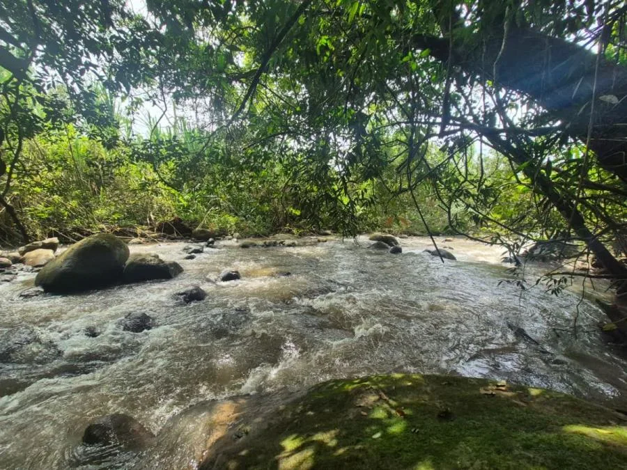 HERMOSA FINCA DE 16 ACRES CON QUEBRADAS Y ACCESO A RÍO EN SAN PEDRO - Venta en Perez Zeledón — photo 2