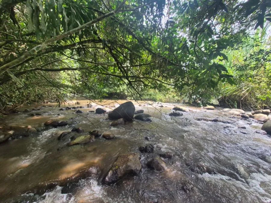 HERMOSA FINCA DE 16 ACRES CON QUEBRADAS Y ACCESO A RÍO EN SAN PEDRO - Venta en Perez Zeledón — photo 4