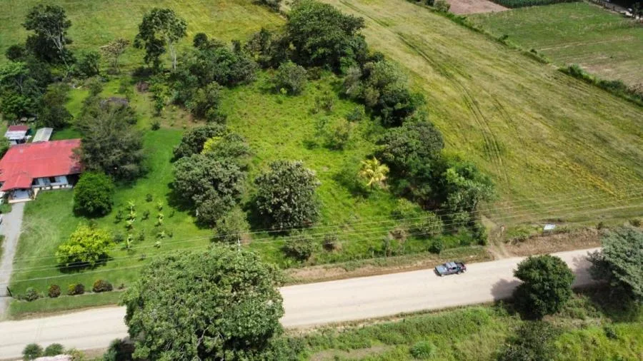 EN VENTA OPORTUNIDAD: 3,497 M² PLANOS Y FÉRTILES - Venta en Perez Zeledón