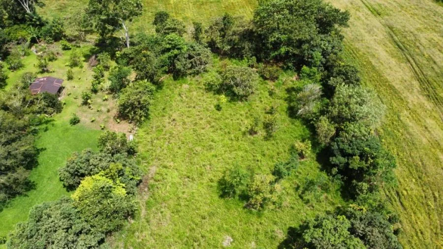 EN VENTA OPORTUNIDAD: 3,497 M² PLANOS Y FÉRTILES - Venta en Perez Zeledón — photo 3