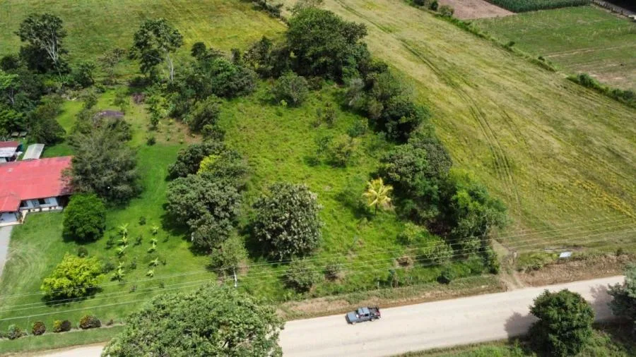 EN VENTA OPORTUNIDAD: 3,497 M² PLANOS Y FÉRTILES - Venta en Perez Zeledón — photo 4