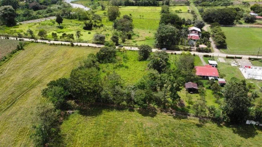 EN VENTA OPORTUNIDAD: 3,497 M² PLANOS Y FÉRTILES - Venta en Perez Zeledón — photo 5