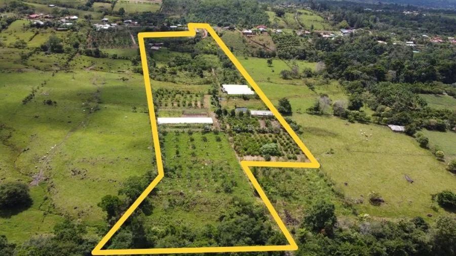 FINCA EN VENTA PÉREZ ZELEDÓN, COSTA RICA - Venta en Perez Zeledón