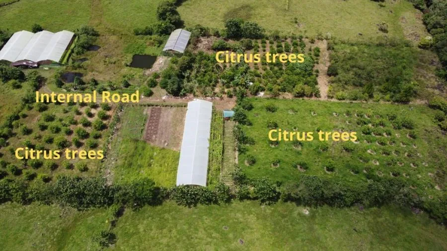 FINCA EN VENTA PÉREZ ZELEDÓN, COSTA RICA - Venta en Perez Zeledón — photo 2