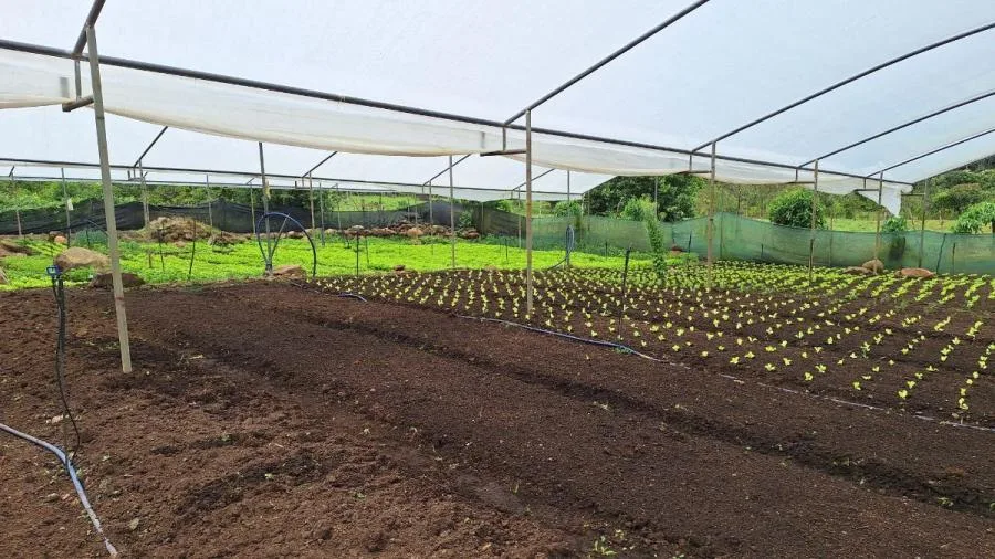 FINCA EN VENTA PÉREZ ZELEDÓN, COSTA RICA - Venta en Perez Zeledón — photo 4