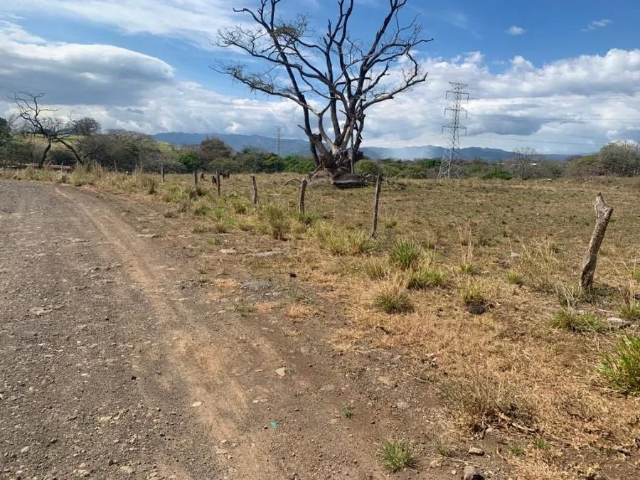 VENTA DE TERRENO INDUSTRIAL EN ALAJUELA, EL COYOL - Venta en Alajuela
