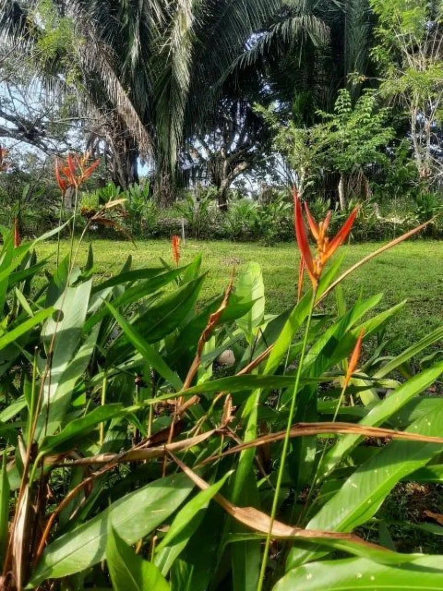 Venta de Casa + APTO en Puntarenas. RAH 24-1833 - Venta en Cobano