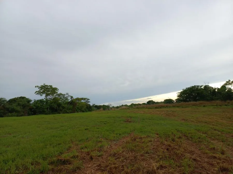Finca en La Ceiba de Orotina, 46 hectareas - Venta en Orotina