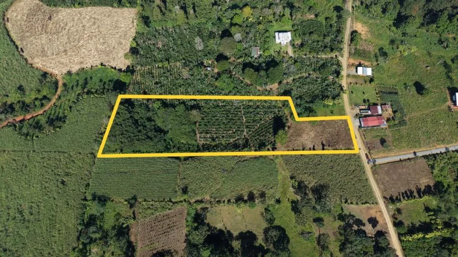 PROPIEDAD EN VENTA EN SANTA ELENA – ALTO POTENCIAL DE DESARROLLO - Venta en Perez Zeledón