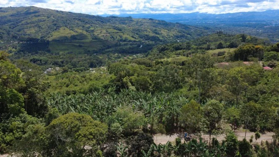 EN VENTA – TERRENO EN LA FILA, RIVAS (PÉREZ ZELEDÓN) - Venta en Perez Zeledón