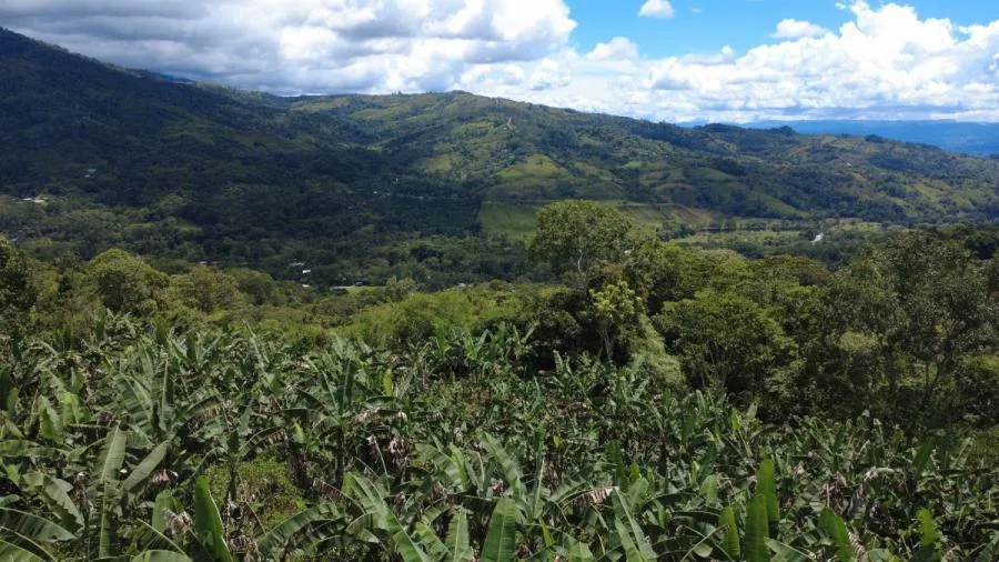 EN VENTA – TERRENO EN LA FILA, RIVAS (PÉREZ ZELEDÓN) - Venta en Perez Zeledón — photo 2