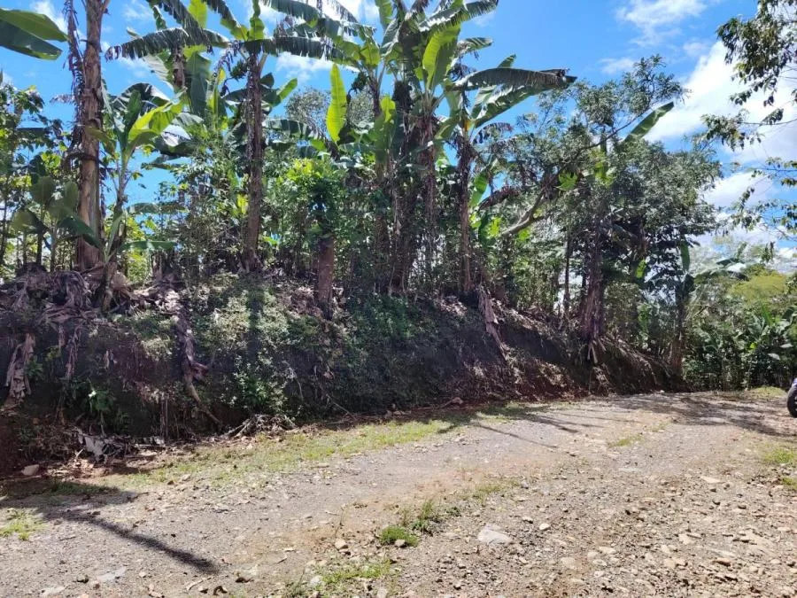 EN VENTA – TERRENO EN LA FILA, RIVAS (PÉREZ ZELEDÓN) - Venta en Perez Zeledón — photo 3