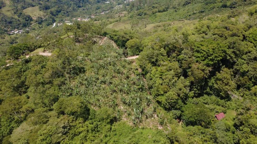 EN VENTA – TERRENO EN LA FILA, RIVAS (PÉREZ ZELEDÓN) - Venta en Perez Zeledón — photo 5