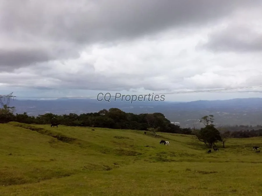 Finca en Carrizal/Santa Barbara, 18.7 hectareas - Venta en Santa Bárbara