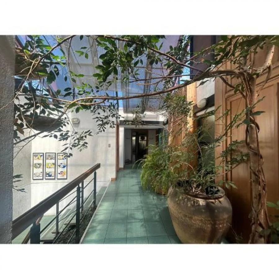 ALQUILER DE OFICINA EN EDIFICIO GREEN, SAN JOSE, PASEO COLÓN  - Alquiler / Renta en San José