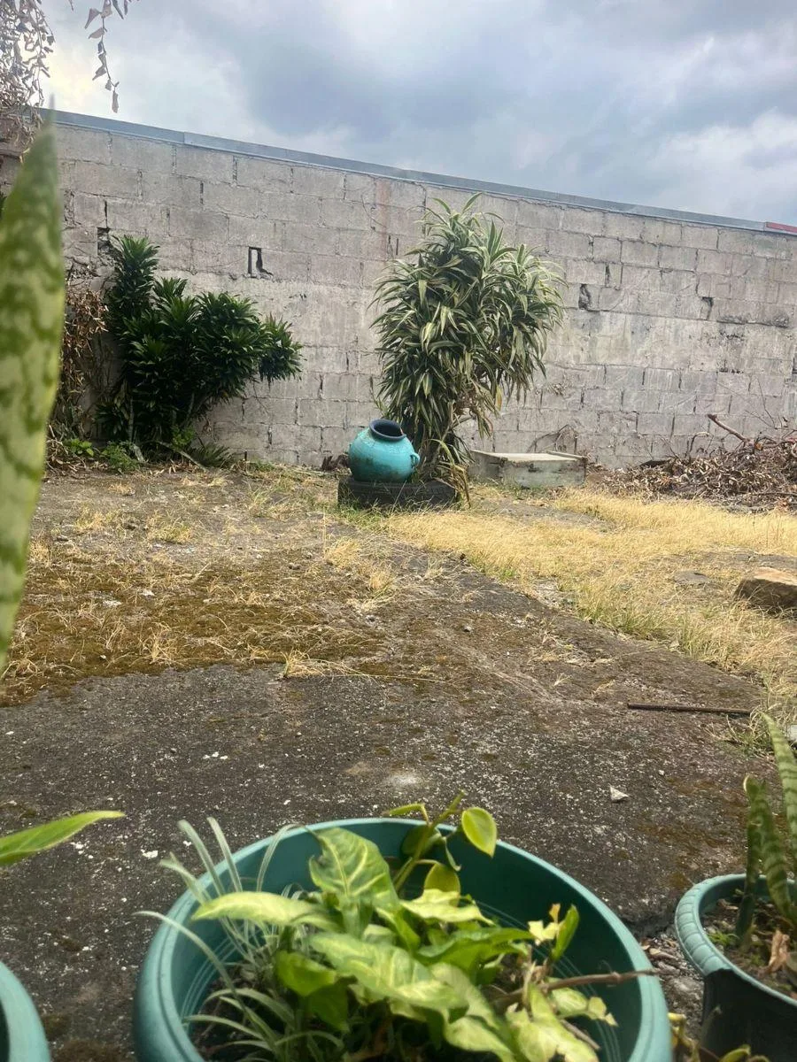 Casa en venta en Goicoechea, Guadalupe 1 planta 2.5PCU9893801 - Venta en Goicoechea — photo 5