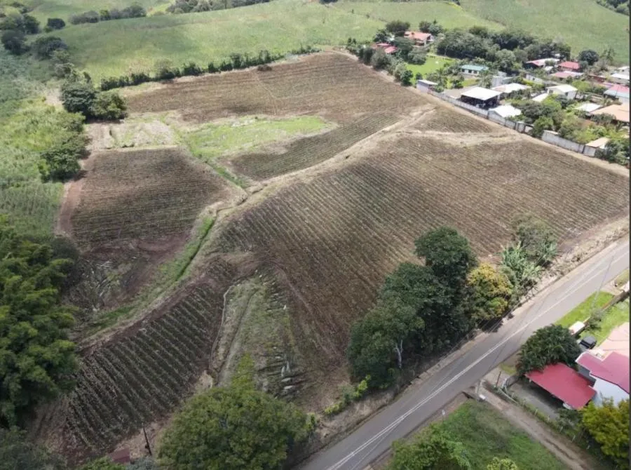 FINCA EN VENTA, ALAJUELA, GRECIA - Venta en Grecia