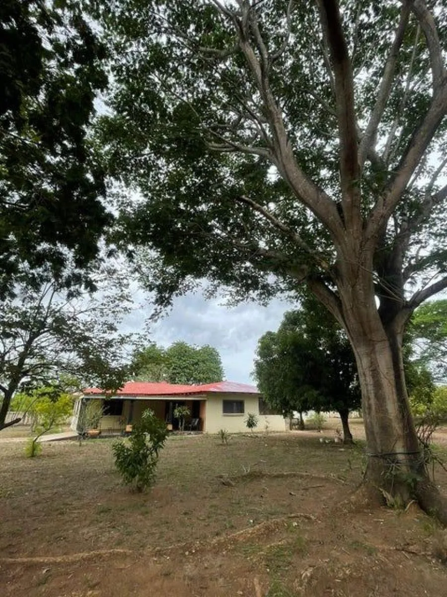Venta de Casa en Santa Cruz, Guanacaste. RAH 24-1681 - Venta en Santa Cruz