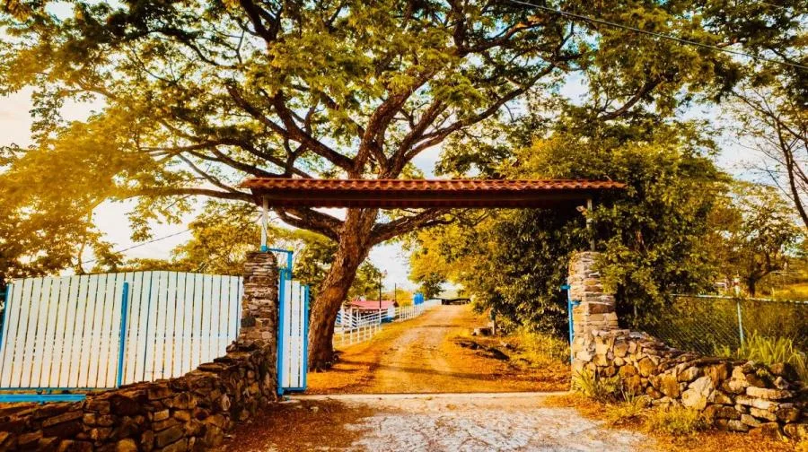 Tourism and Livestock Potential Farm - Venta en Bagaces