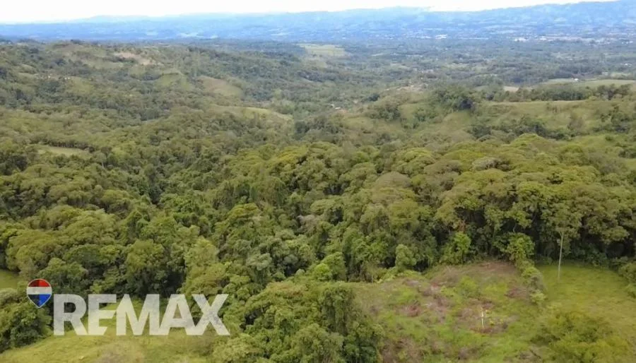 SE VENDE TERRENO DE CASI 1.4 HECTÁREAS CON VISTAS ABIERTAS AL VALLE DEL GENERAL. - Venta en Perez Zeledón — photo 4