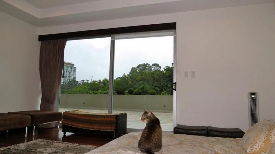 Venta de Apartamento en La Sabana, San José.  - Venta en San José — photo 4