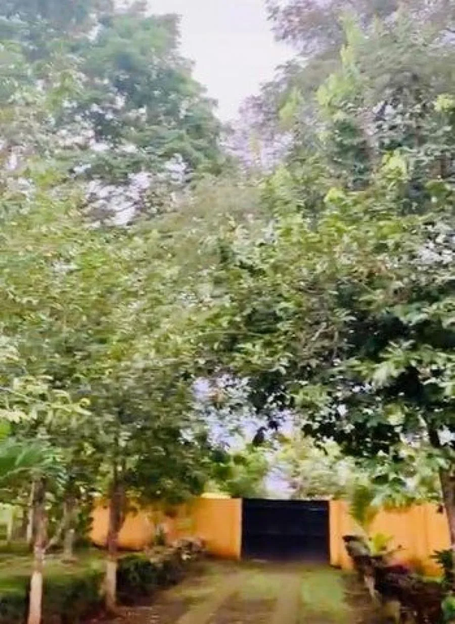 Venta de Casa en Orotina, Alajuela. - Venta en Orotina