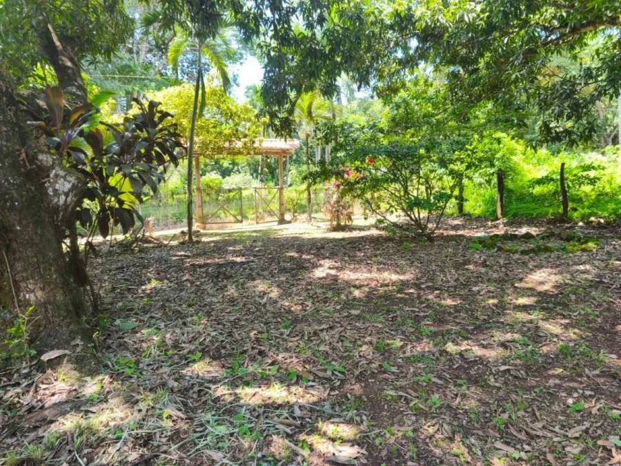 VENTA DE LOTE, USO MIXTO, ALAJUELA, OROTINA, SANTA RITA 9548829 - Venta en Orotina