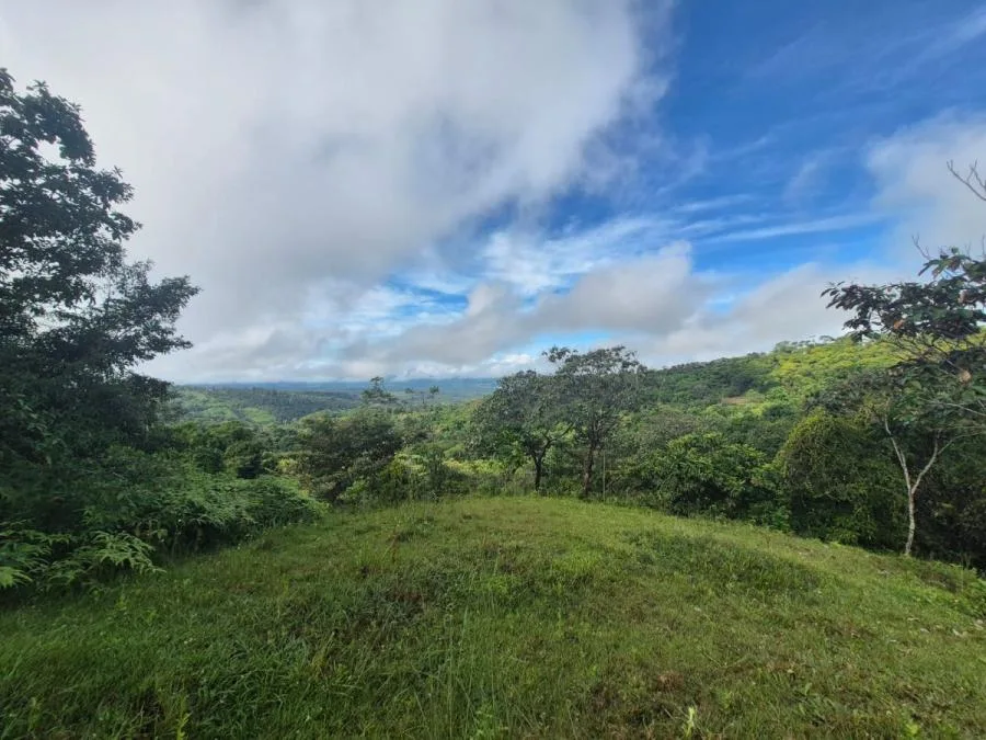 Finca en San Blas, Perez Zeledon. - Venta en Perez Zeledón — photo 4