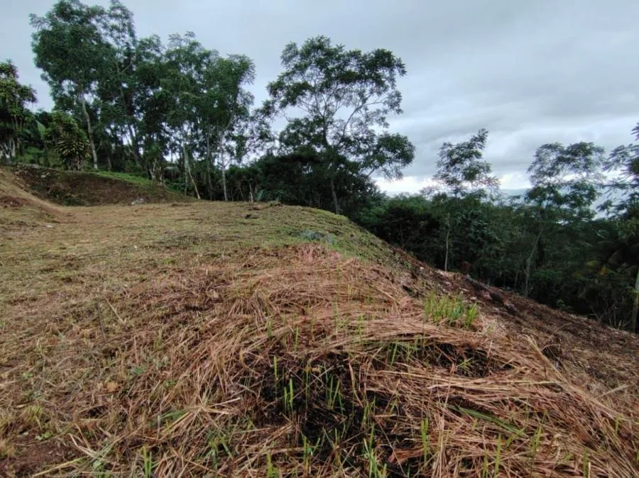 COSTA RICA TERRENO CON PLUSVALÍA EN SANTA CRUZ - Venta en Perez Zeledón — photo 2