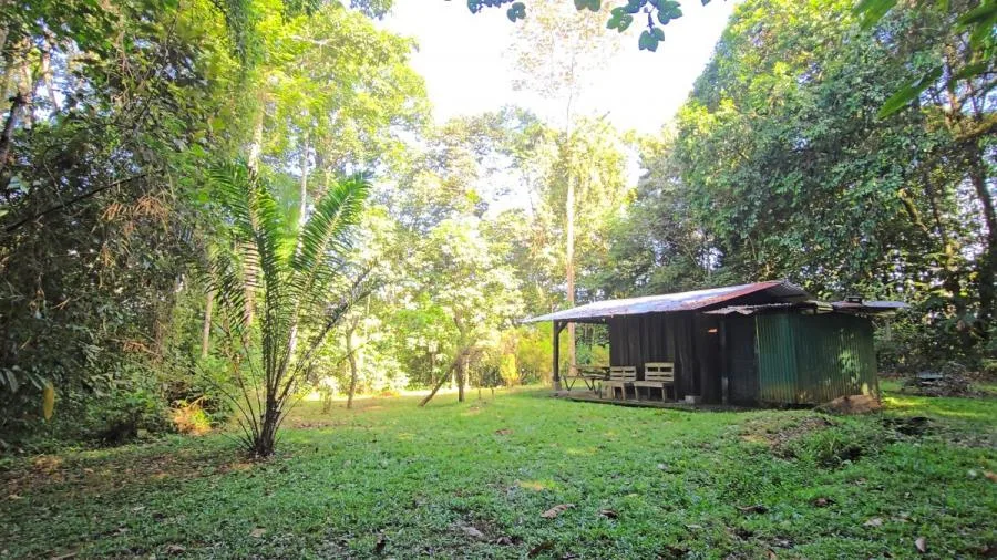 LOTE EN PEÑAS BLANCAS, PÉREZ ZELEDÓNNATURALEZA Y PRIVACIDAD - Venta en Perez Zeledón — photo 3