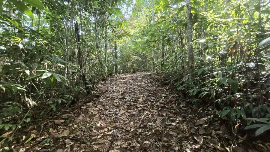 LOTE EN PEÑAS BLANCAS, PÉREZ ZELEDÓNNATURALEZA Y PRIVACIDAD - Venta en Perez Zeledón — photo 4