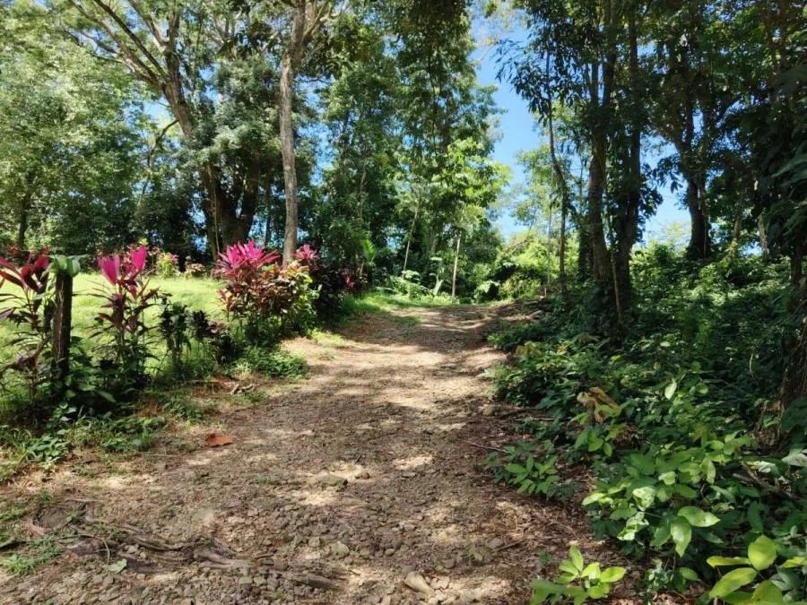 LOTE EN VENTA- PUNTARENAS,COSTA RICA- VISTA AL MAR Y NATURALEZA. - Venta en Puntarenas