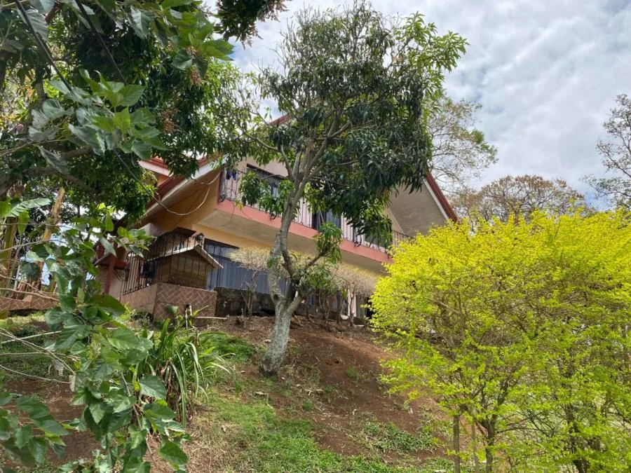 Oficina En Alquiler De 243 M² En Oficentro En Escazú; Idi: 135737 - Alquiler / Renta en San Rafael — photo 4