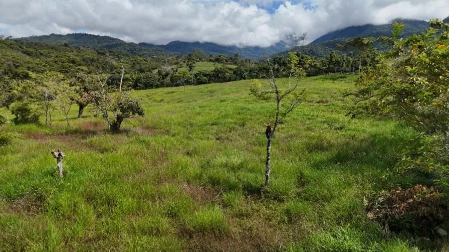 LOTE EN SANTA ELENA – ALTA PLUSVALÍA - Venta en Perez Zeledón — photo 5